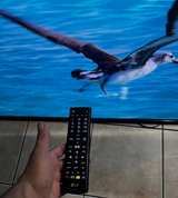 65 ‘ commercial LG Tv model 65UV340C - Image 3