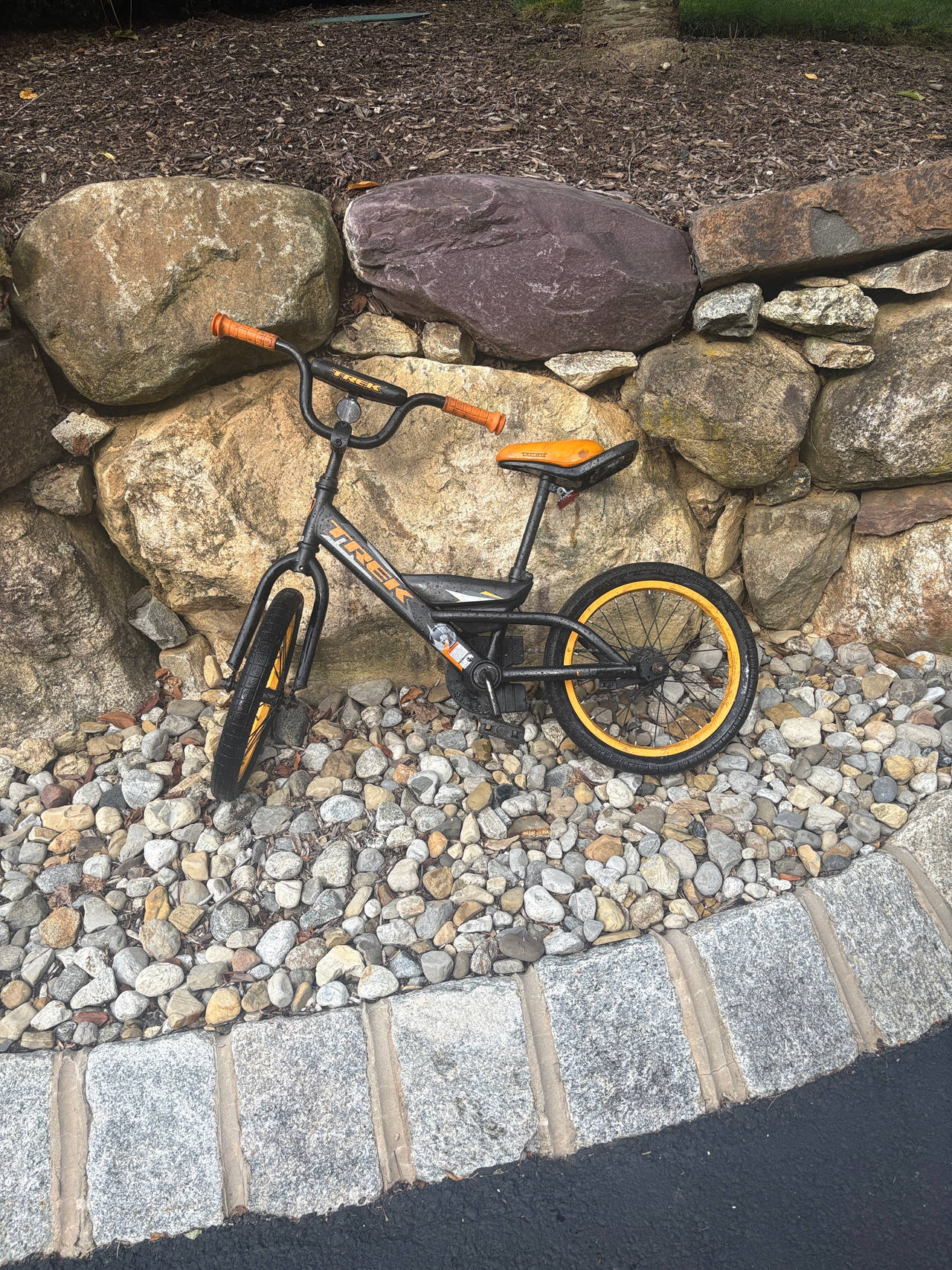 Trek Kids BMX Bike