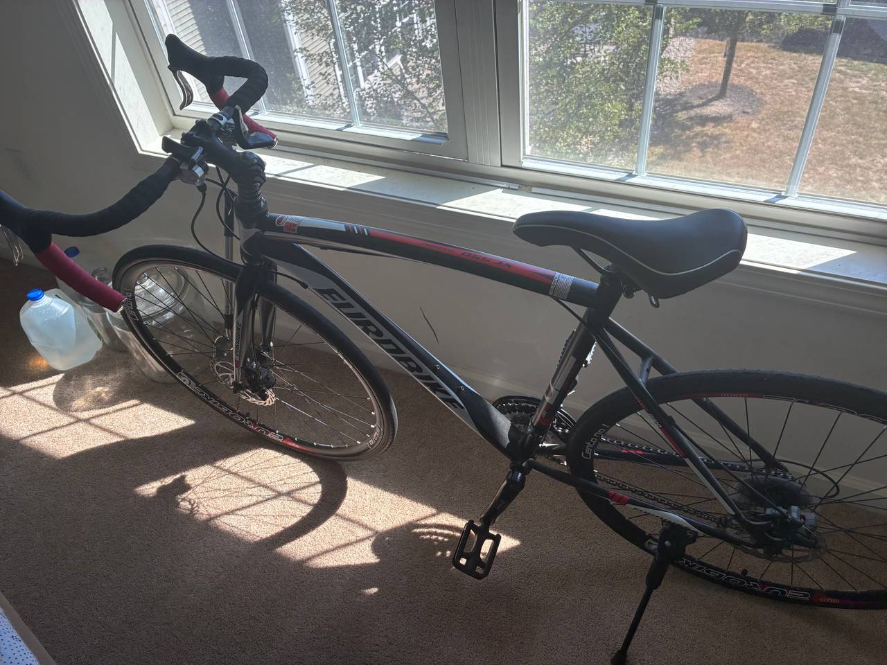 Fuji Absolute