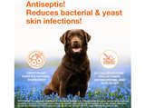 Douxo S3 Pyo Mousse, Contains 3% Chlorhexidine & 0.5% Ophytrium, Antiseptic - Image 7