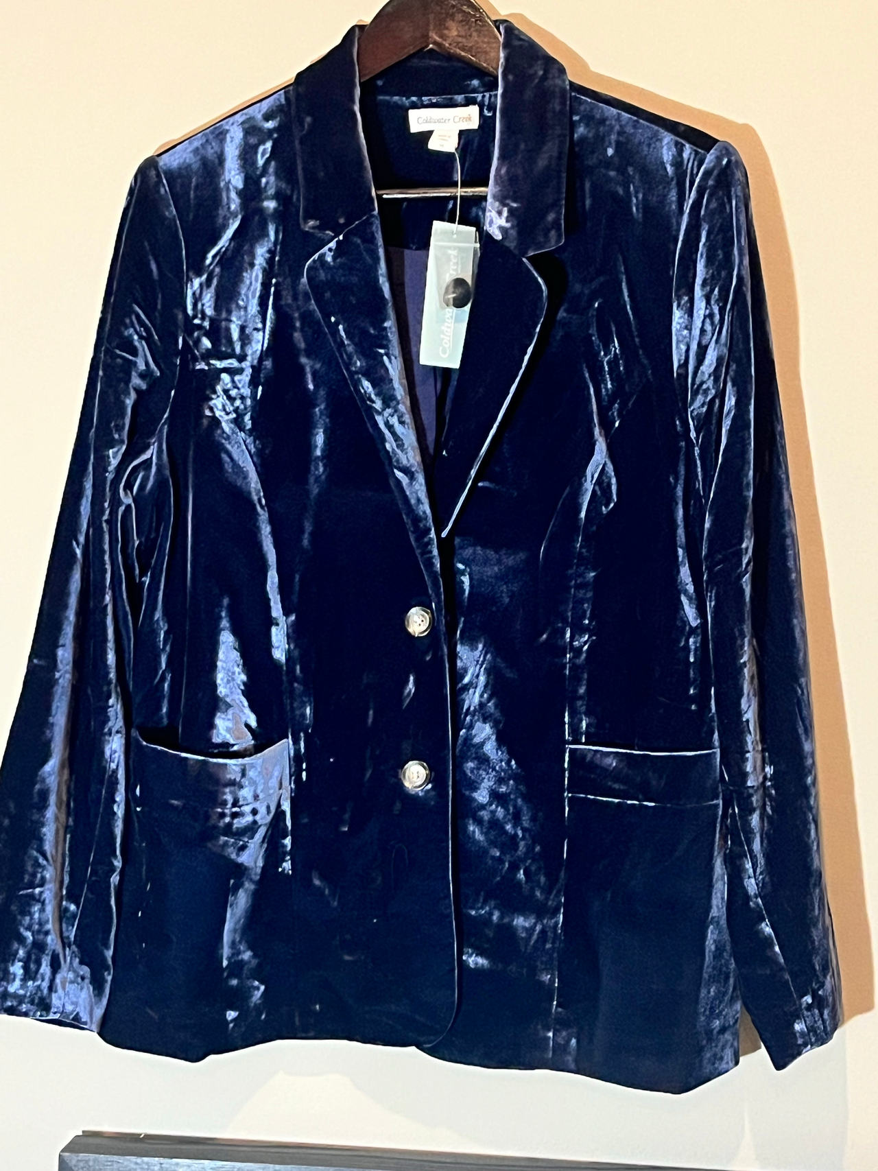 Calvin Klein Velvet Blazer