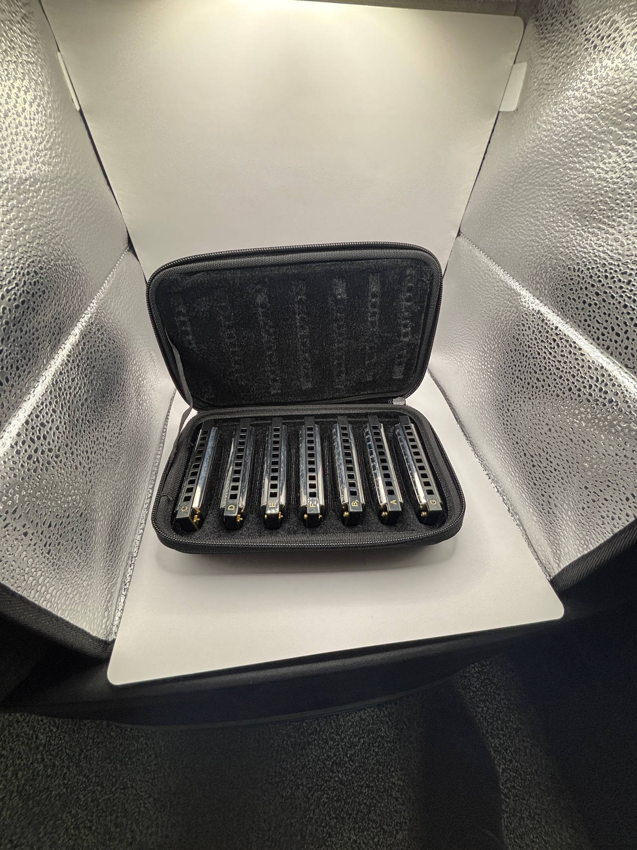Harmonica Set