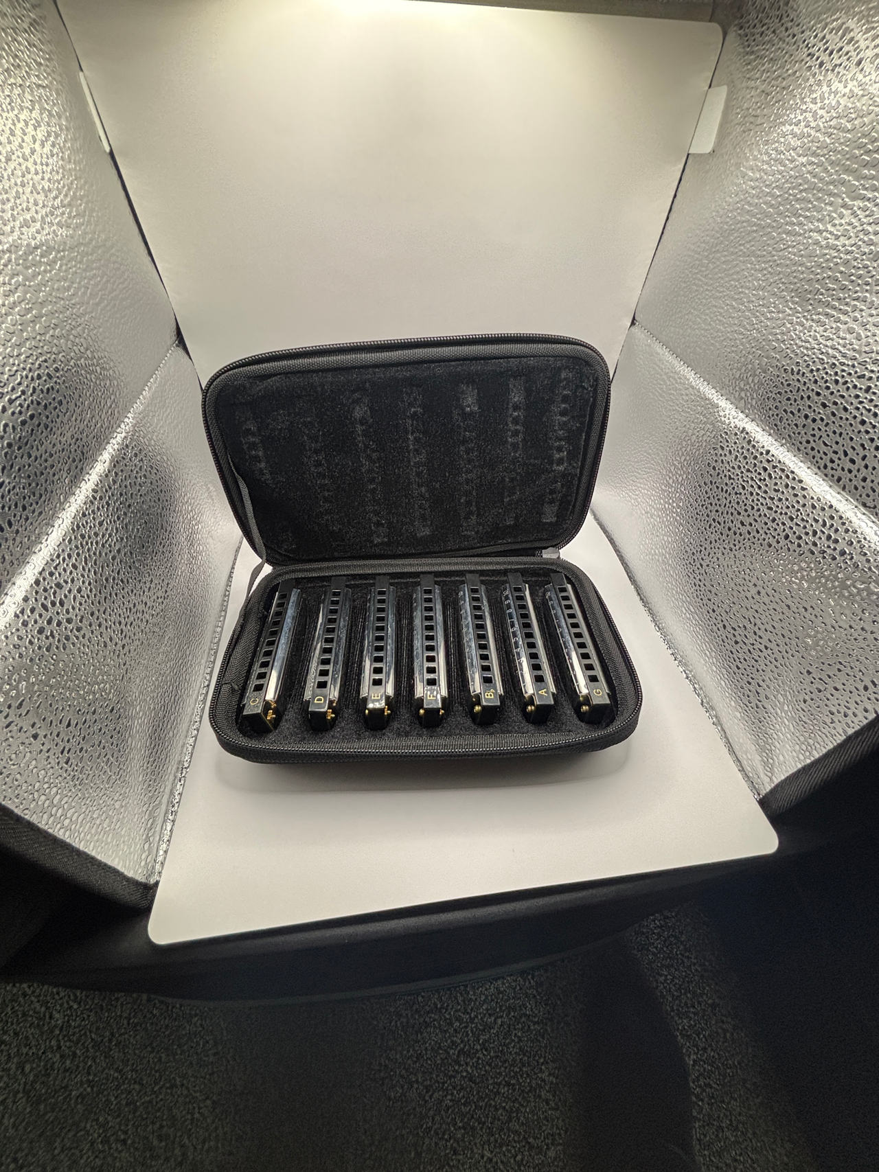 Harmonica Set
