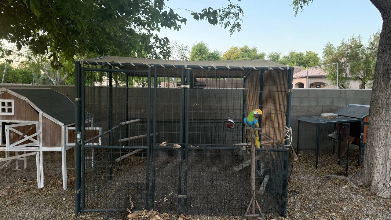 Large Outdoor Walk-in dog kennel or chicken run with tarp by specialty sewing