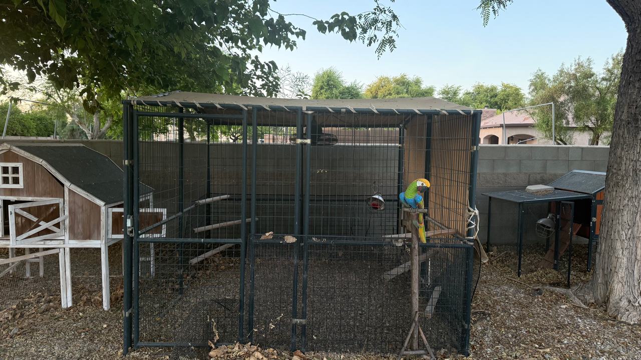 Large Outdoor Walk-in dog kennel or chicken run with tarp by specialty sewing