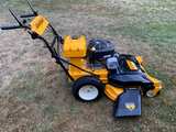 Cub Cadet Walk-Behind Mower - Image 3