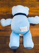 Ralph Lauren Memory Teddy Bear Plush Stuffed Animal Doll Gift Boy Girl Scarf Toy - Image 6