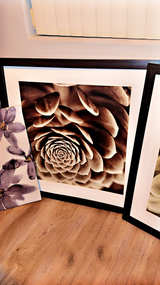 IKEA PJÄTTERYD Framed Succulent Wall Art - Image 2