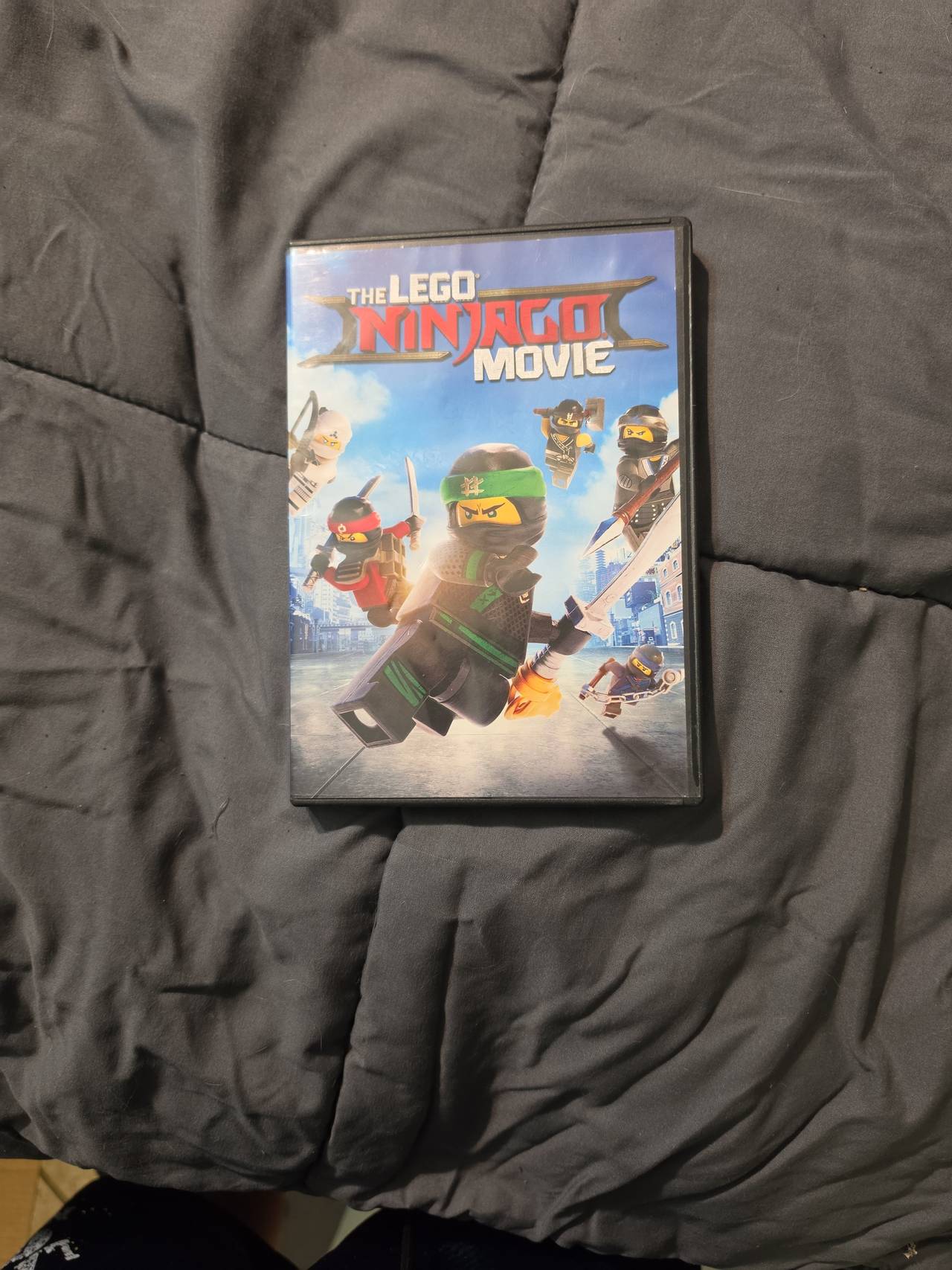 The LEGO Ninjago Movie (DVD)