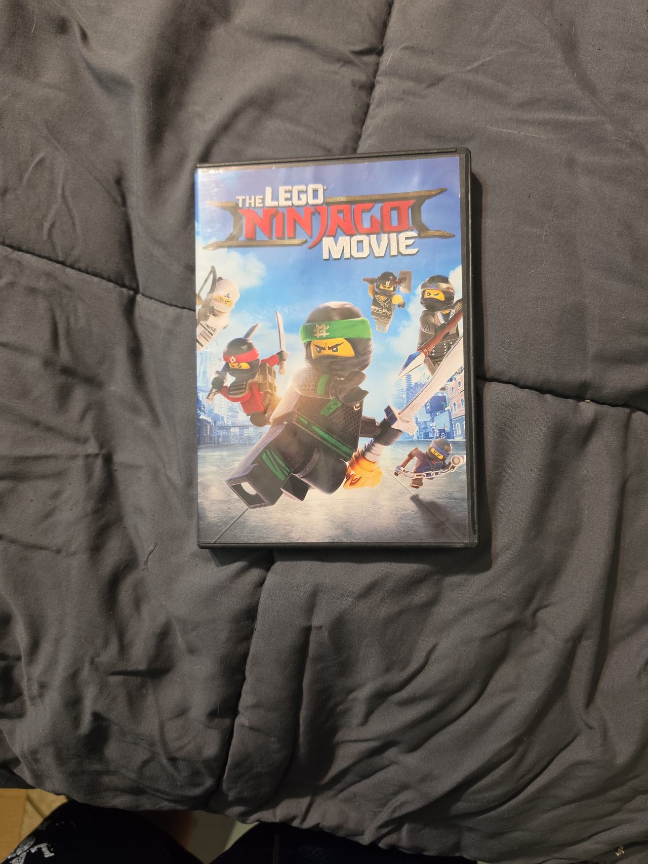 The LEGO Ninjago Movie (DVD)
