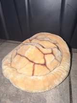 Build a Bear REPLACEMENT Plush Turtle Shell Backpack Pouch - Image 5