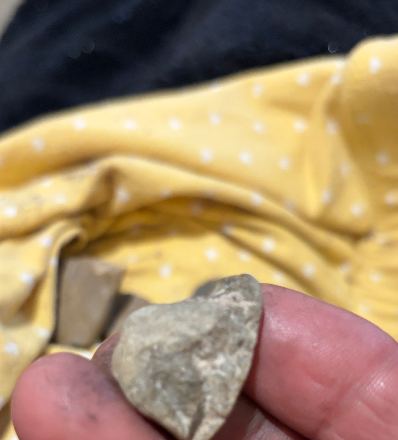 Native American Stone Tool Artifact