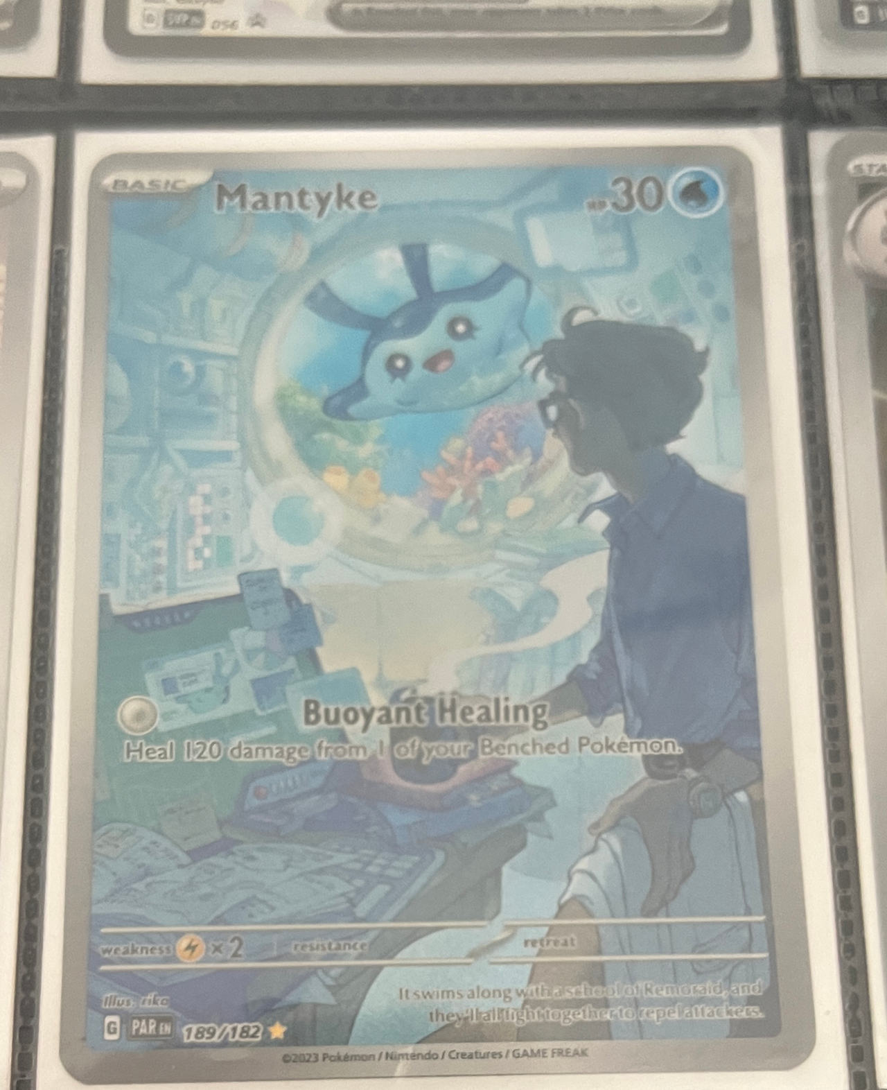 Mantyke 189/182 Paradox Rift Illustration Rare