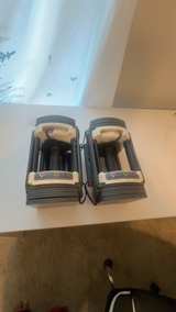 PowerBlock Adjustable Dumbbell Set - Image 1