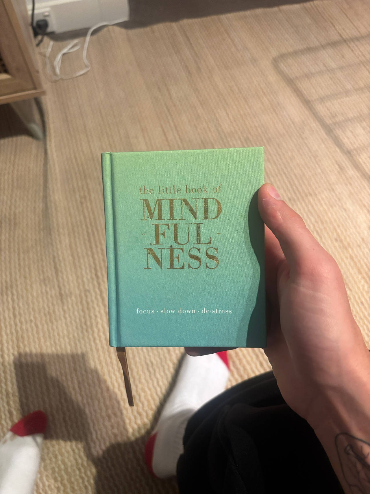 The Little Book of Mindfulness