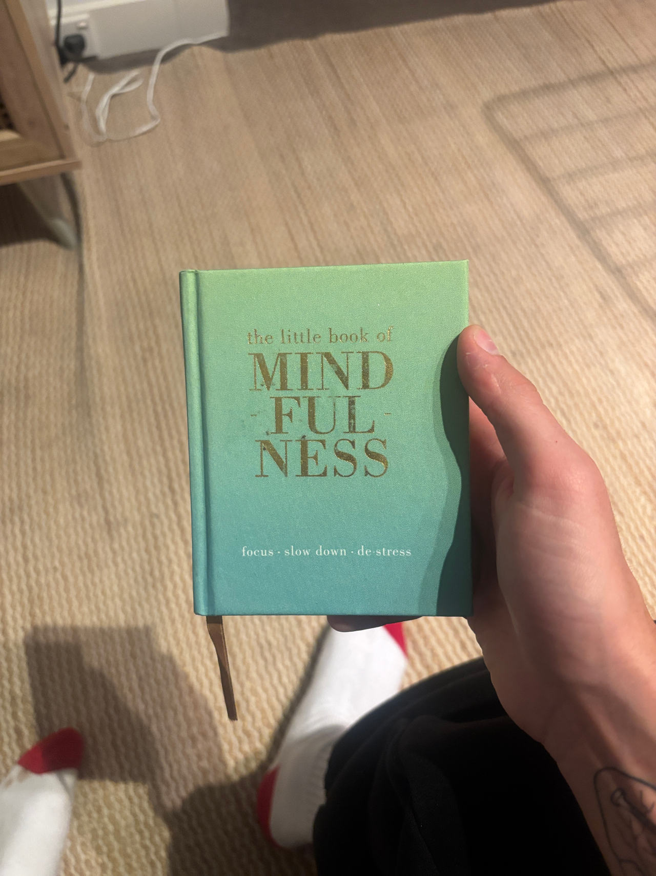 The Little Book of Mindfulness