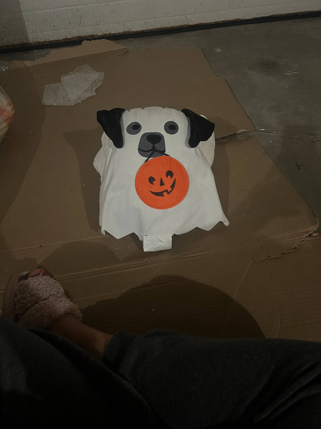 Dog Halloween Ghost Costume
