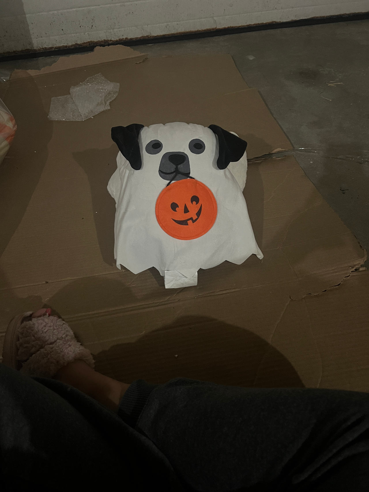 Dog Halloween Ghost Costume