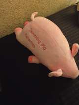 Bahamas Swimming Pig Plush Toy - Image 3