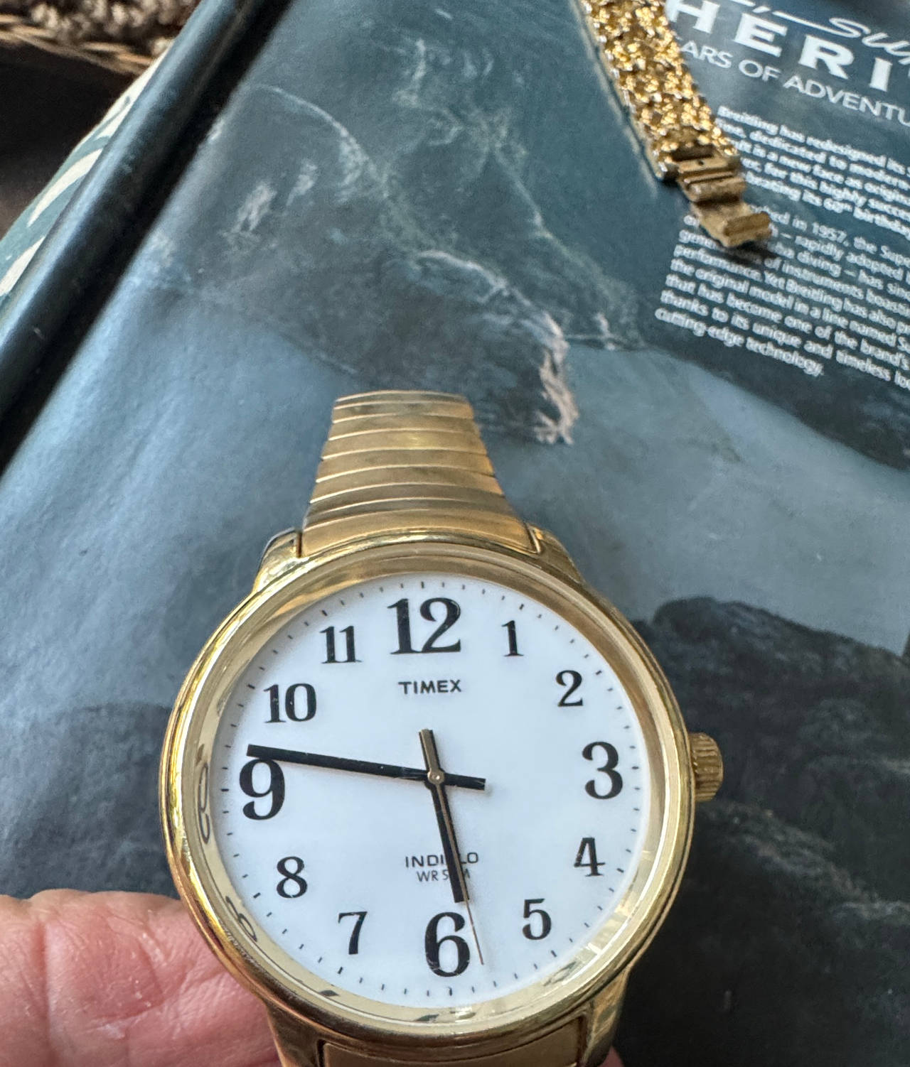 Timex Easy Reader Indiglo Gold-Tone Watch