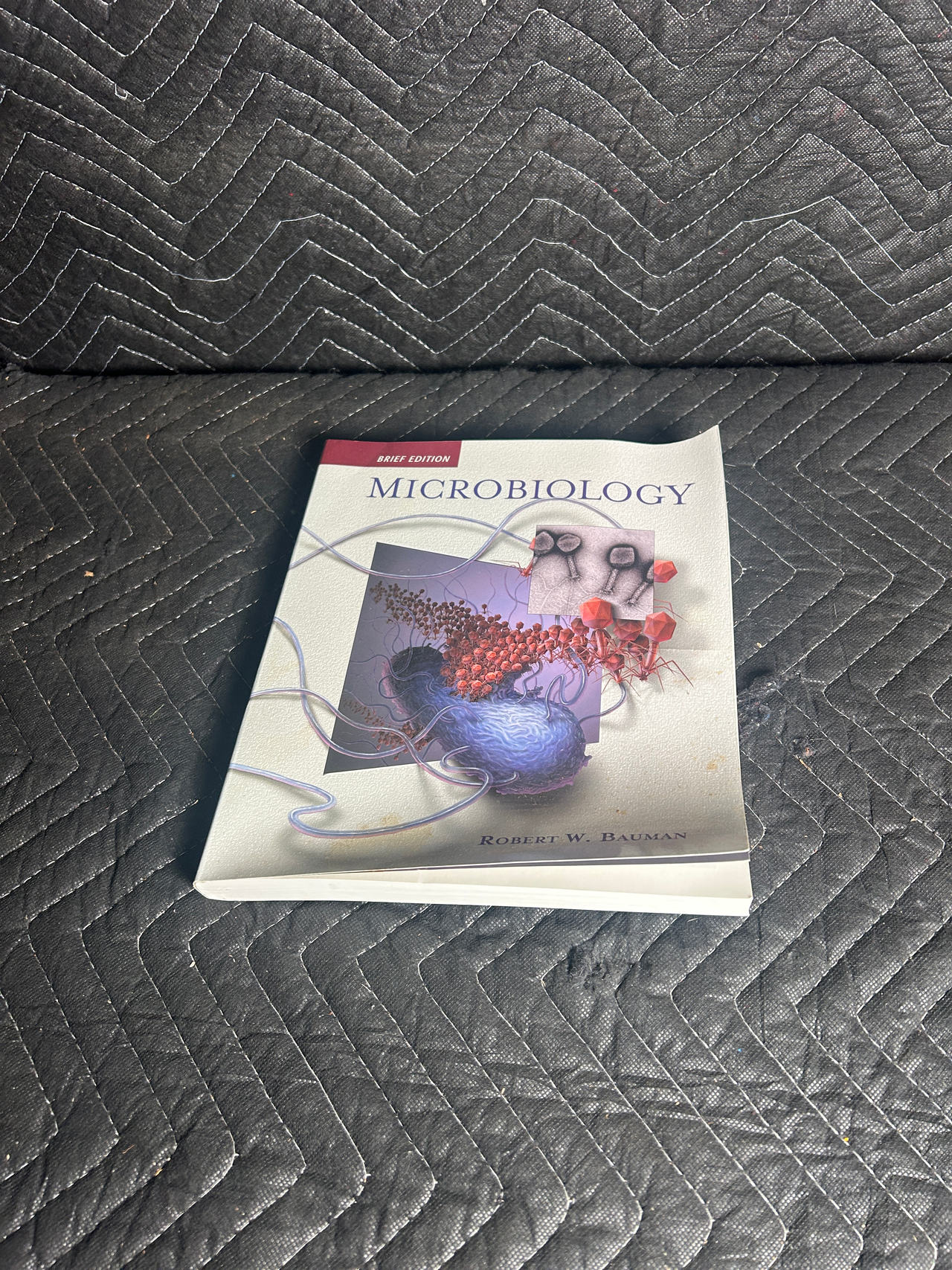 Microbiology with Diseases by Body System (Brief Edition) by Robert W. Bauman