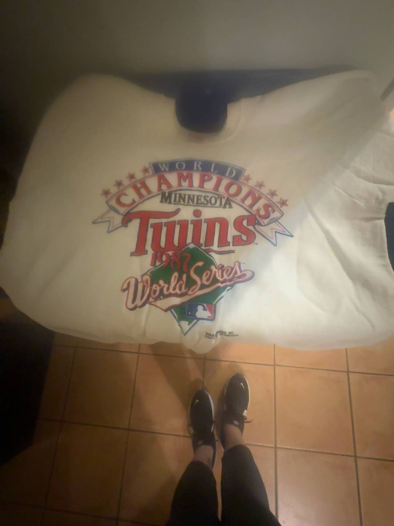 Hanes Vintage Minnesota Twins 1987 World Series Sweatshirt