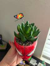 Marvel Spider-Man Mask Ceramic Planter with Artificial Succulent - Image 3
