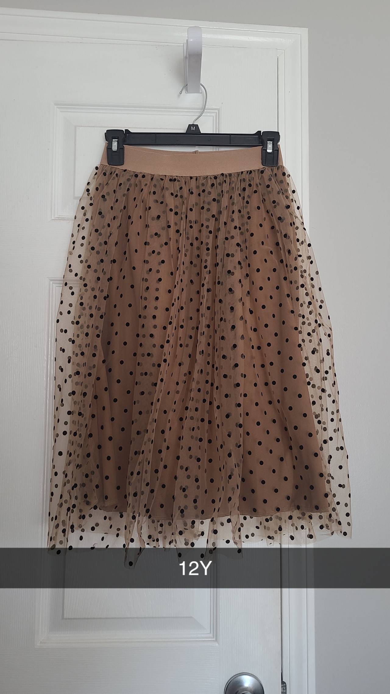 Polka Dot Tulle Mesh Skirt