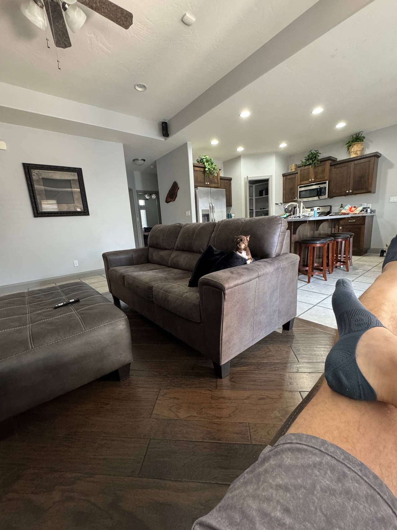 Gray Microfiber Sofa