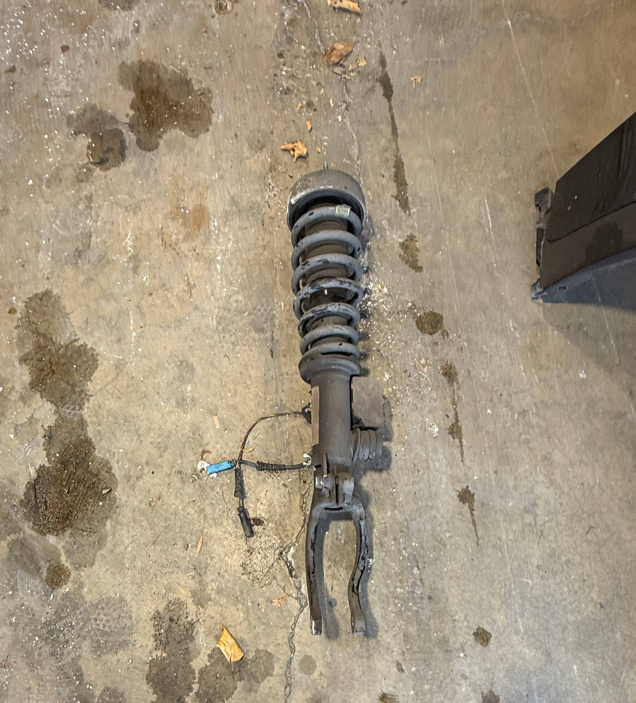 Front Strut and Coil Spring Assembly