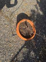 Terracotta Planter Pot - Image 2