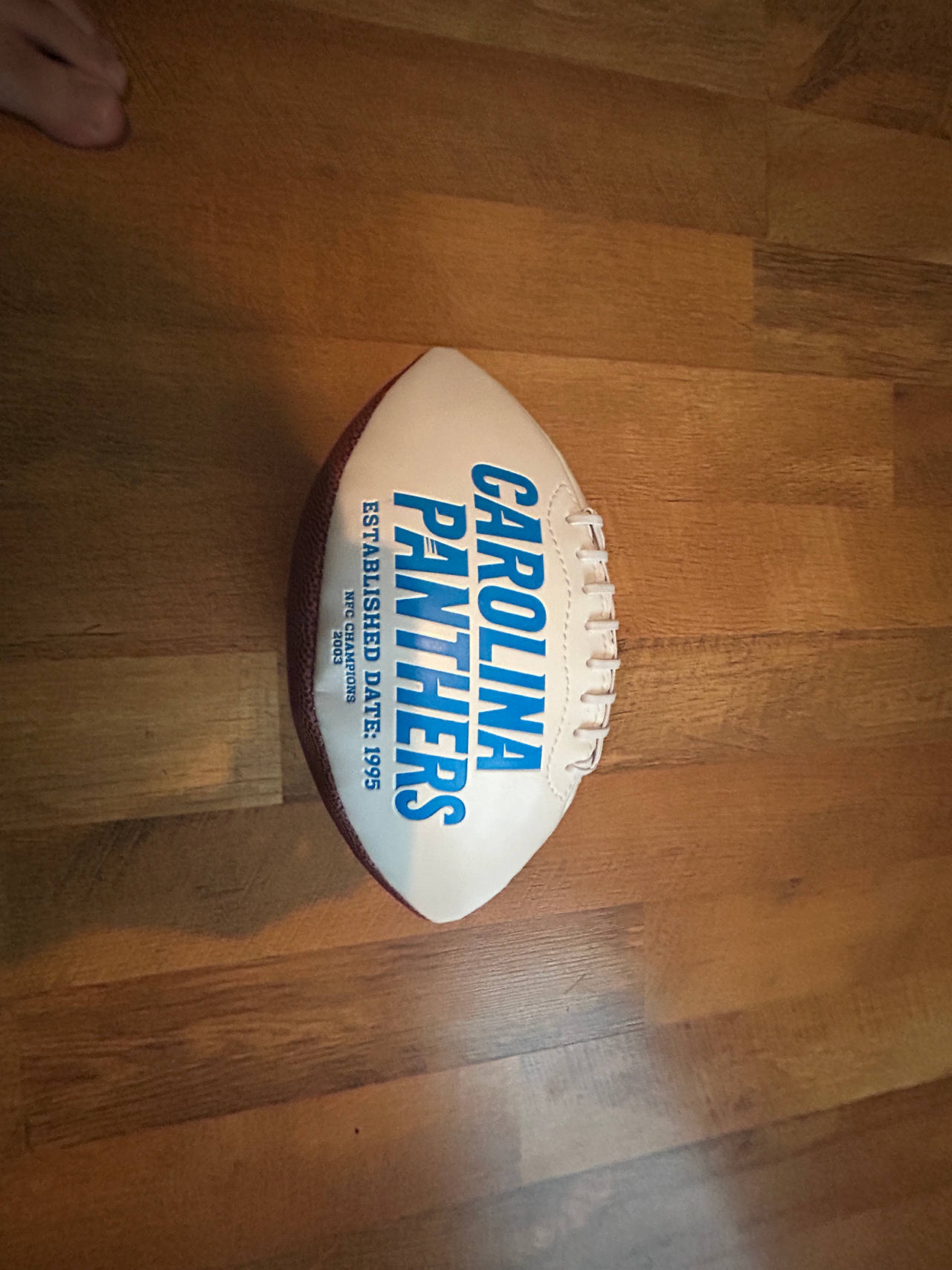 Carolina Panthers Football