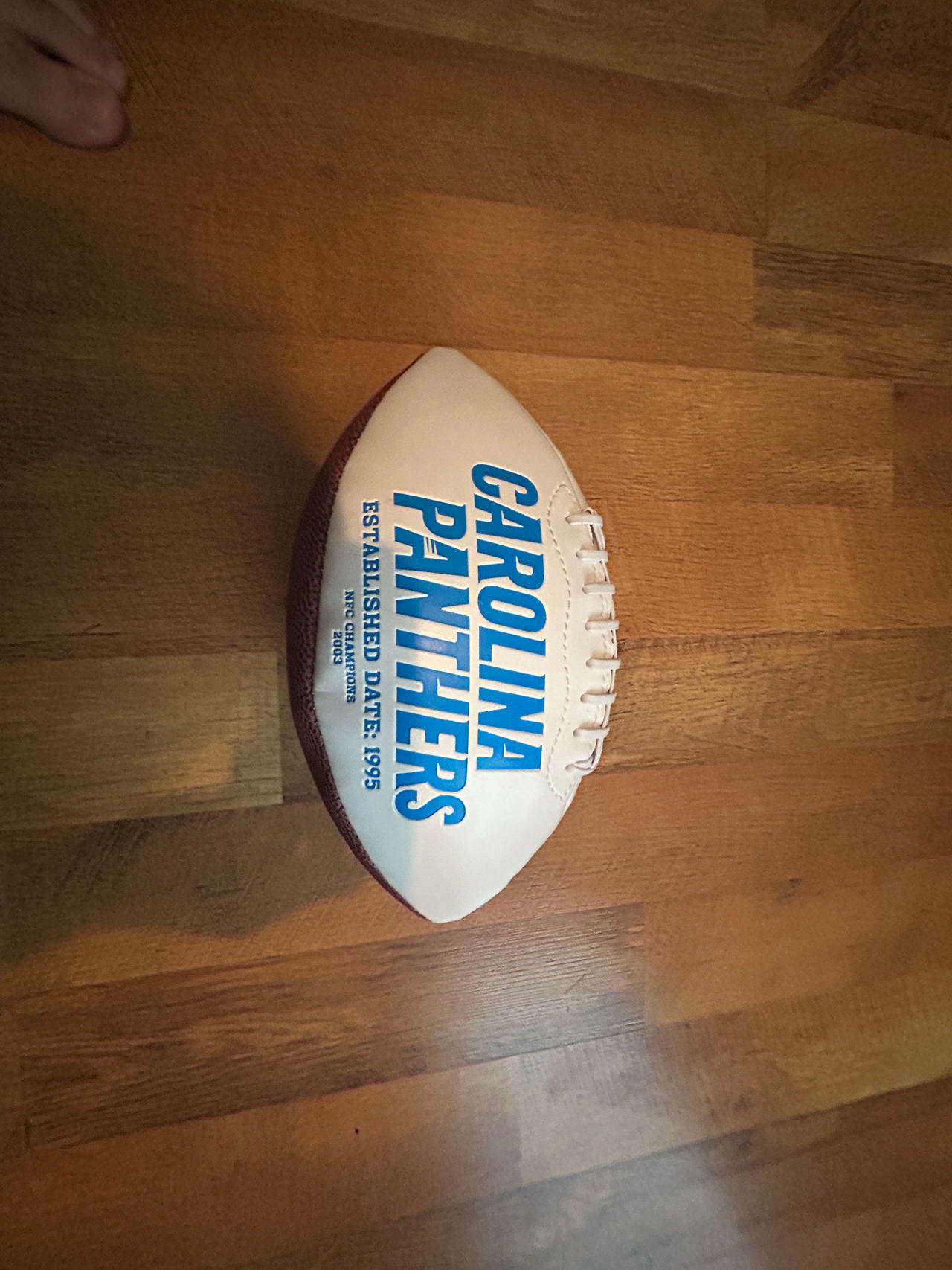 Carolina Panthers Football