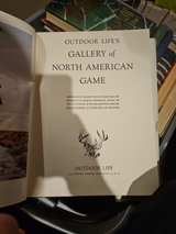 Outdoor Life's Gallery of North American Game - Image 3