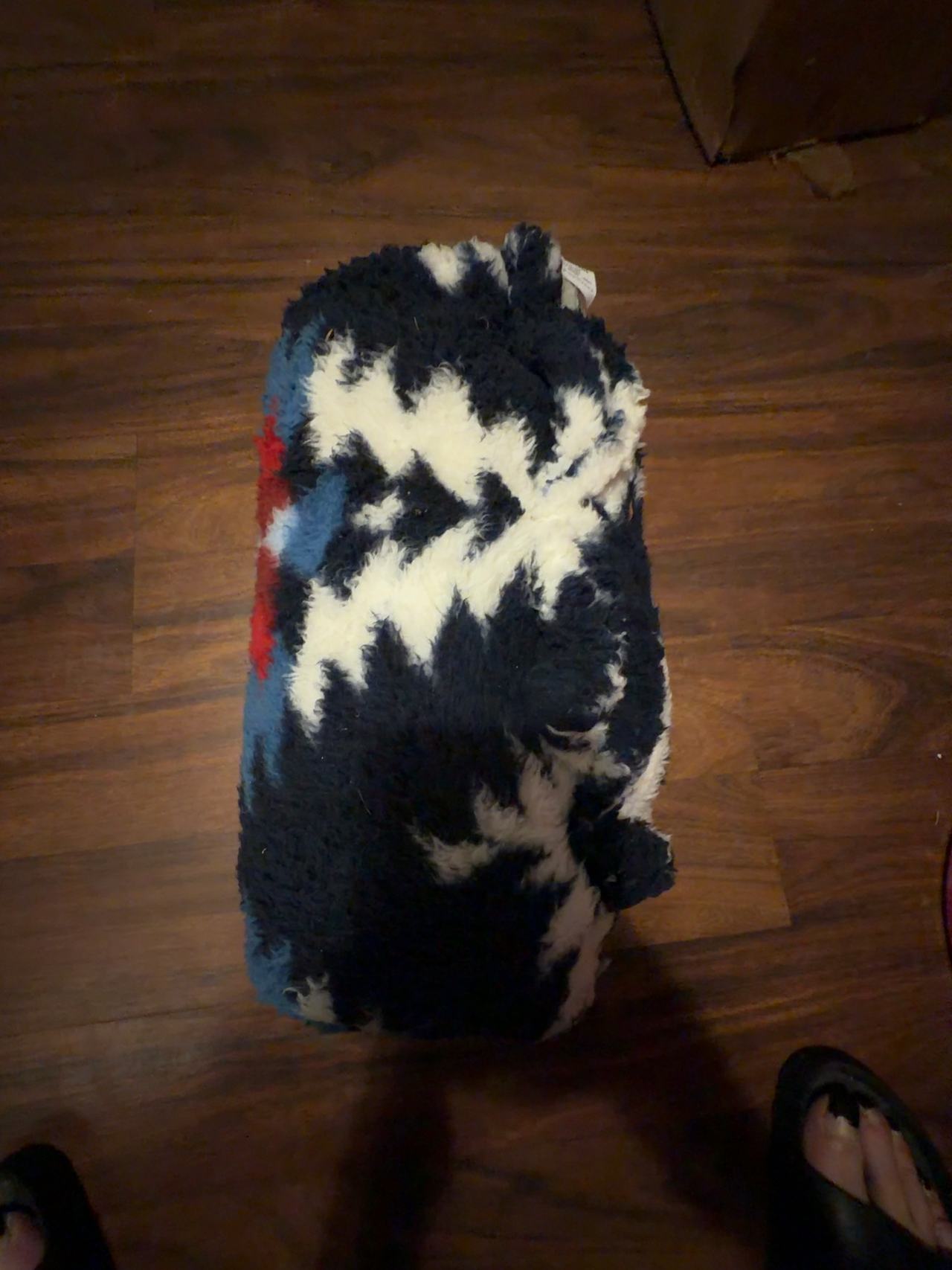 American Eagle Aerie Sherpa Throw Blanket