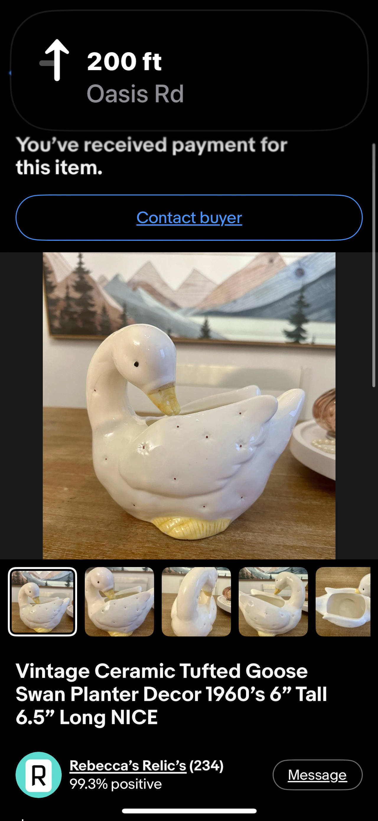 Vintage Ceramic Tufted Goose Swan Planter