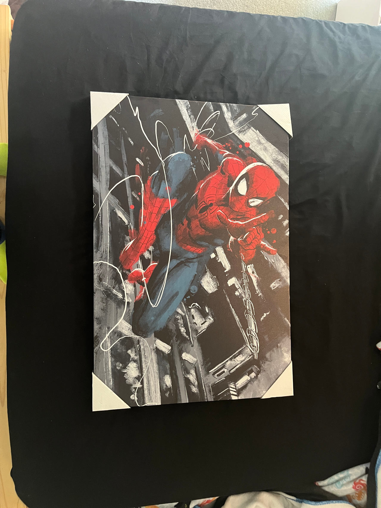 Spider-Man Canvas Wall Art