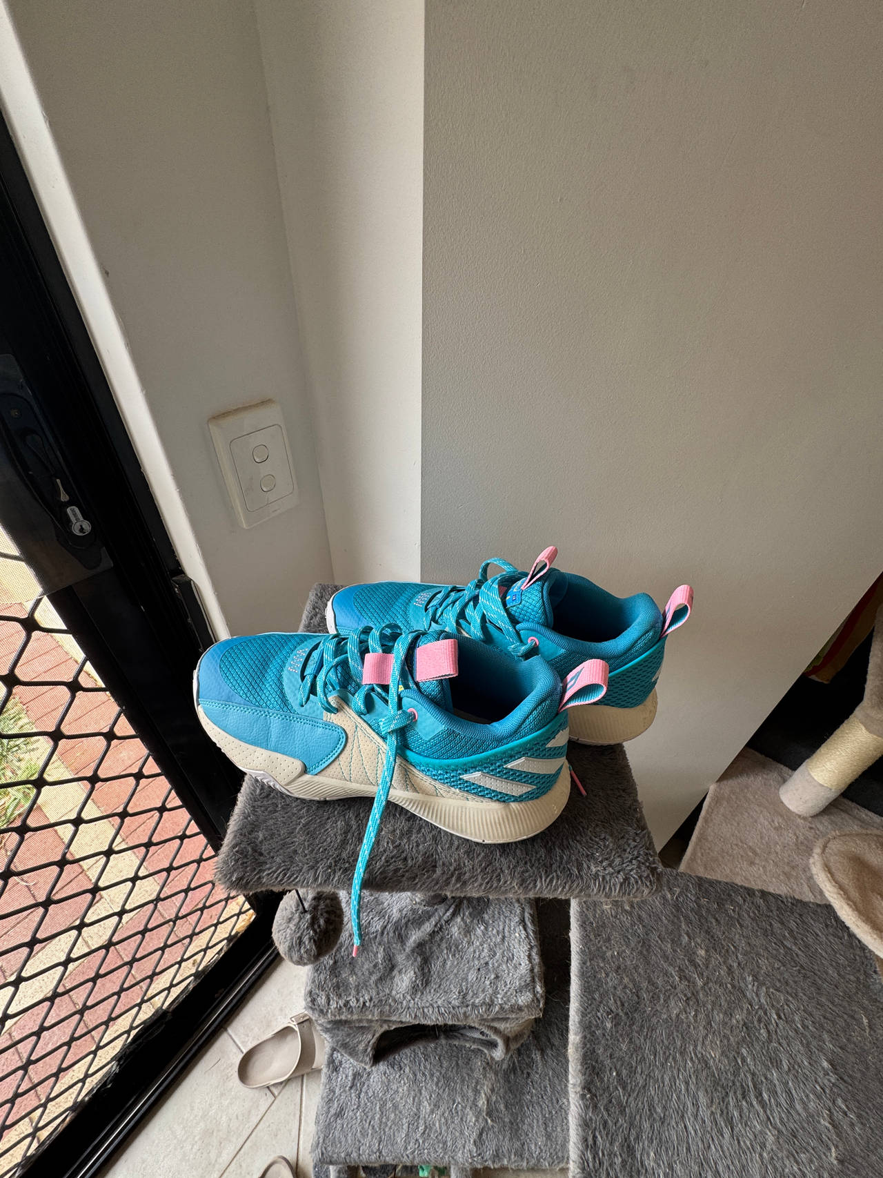 Adidas Basketball Shoes 