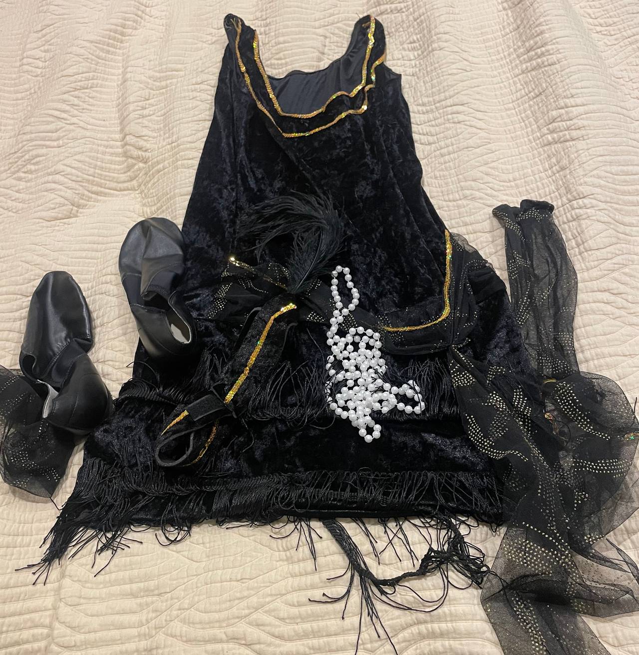 Women's 1920s Flapper Costume Set