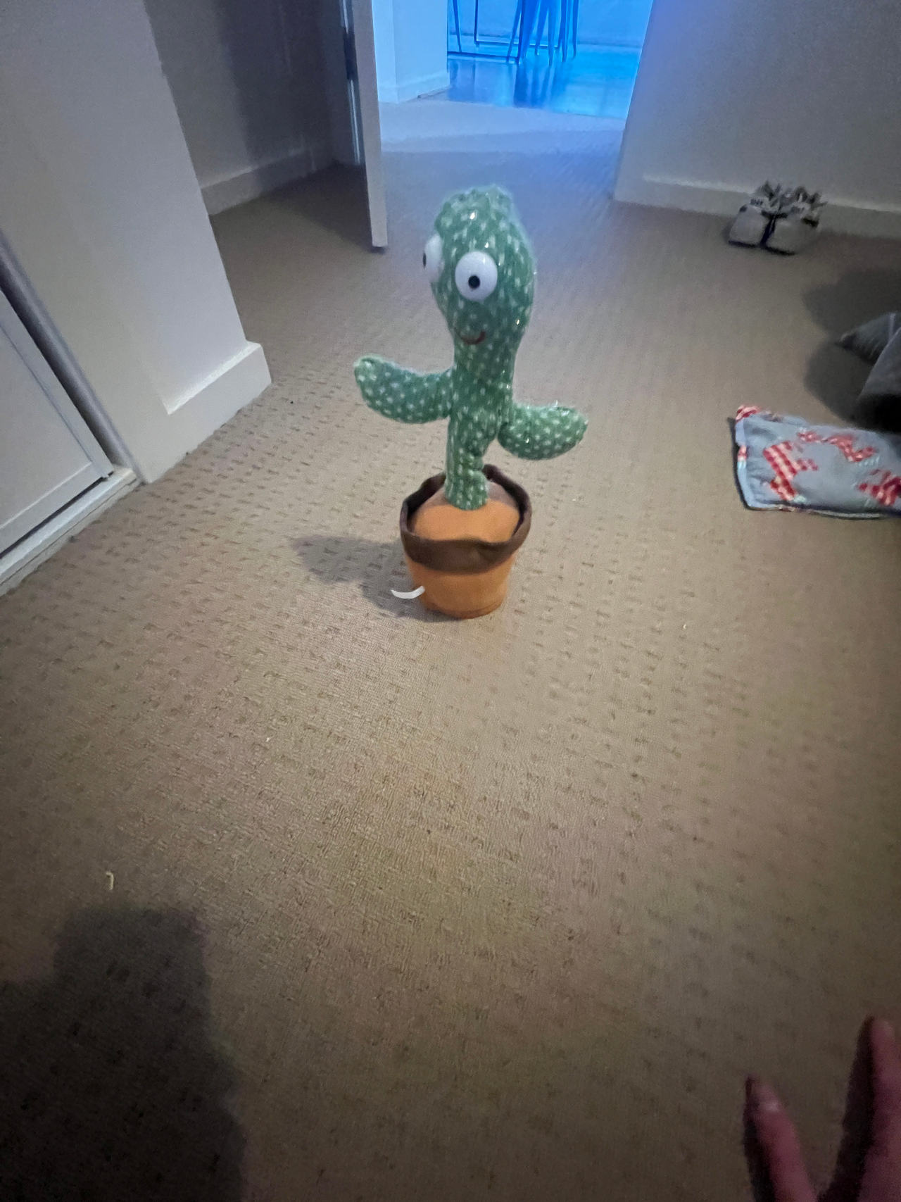 Dancing Cactus Toy