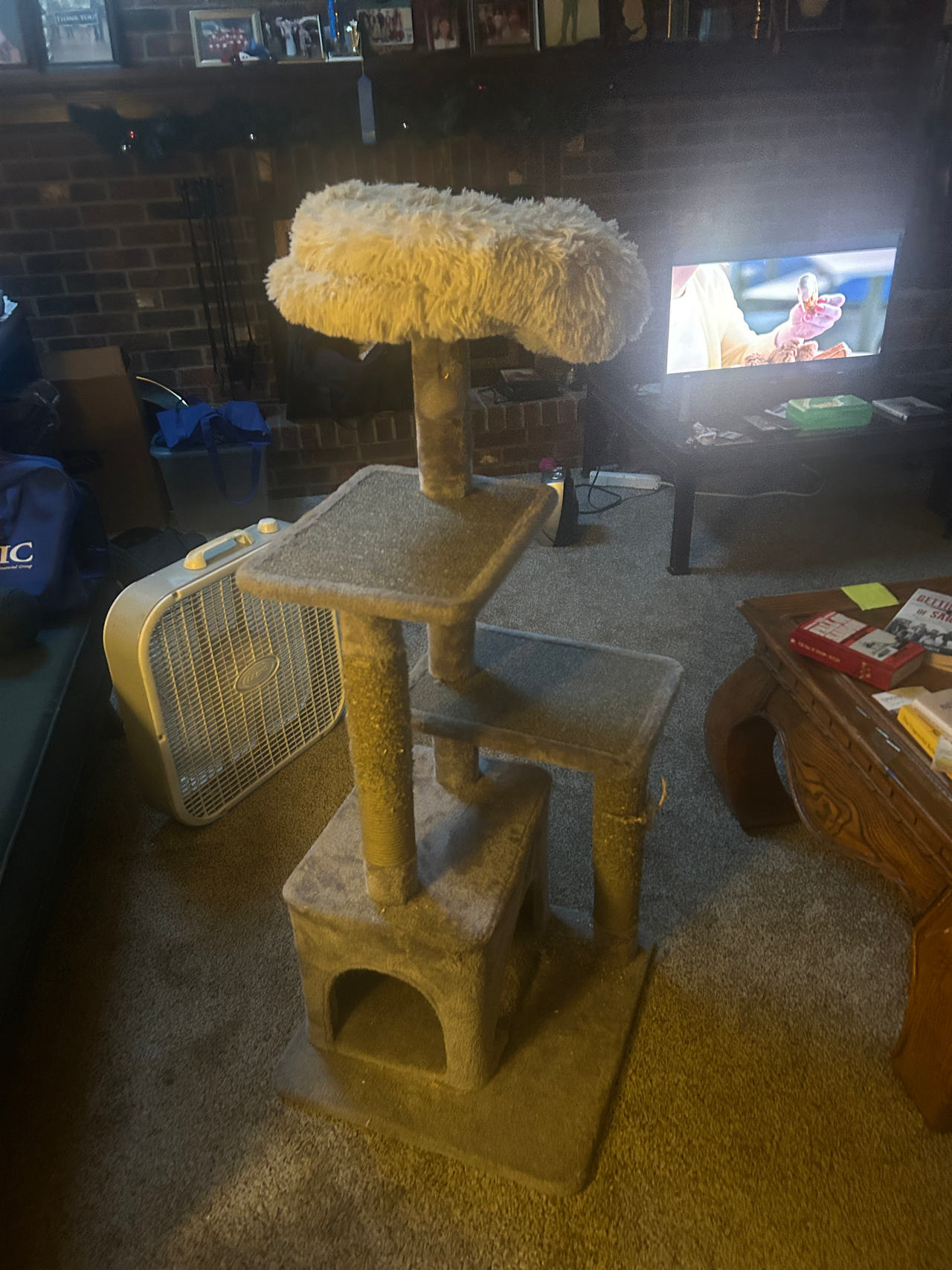 Cat Tree Tower