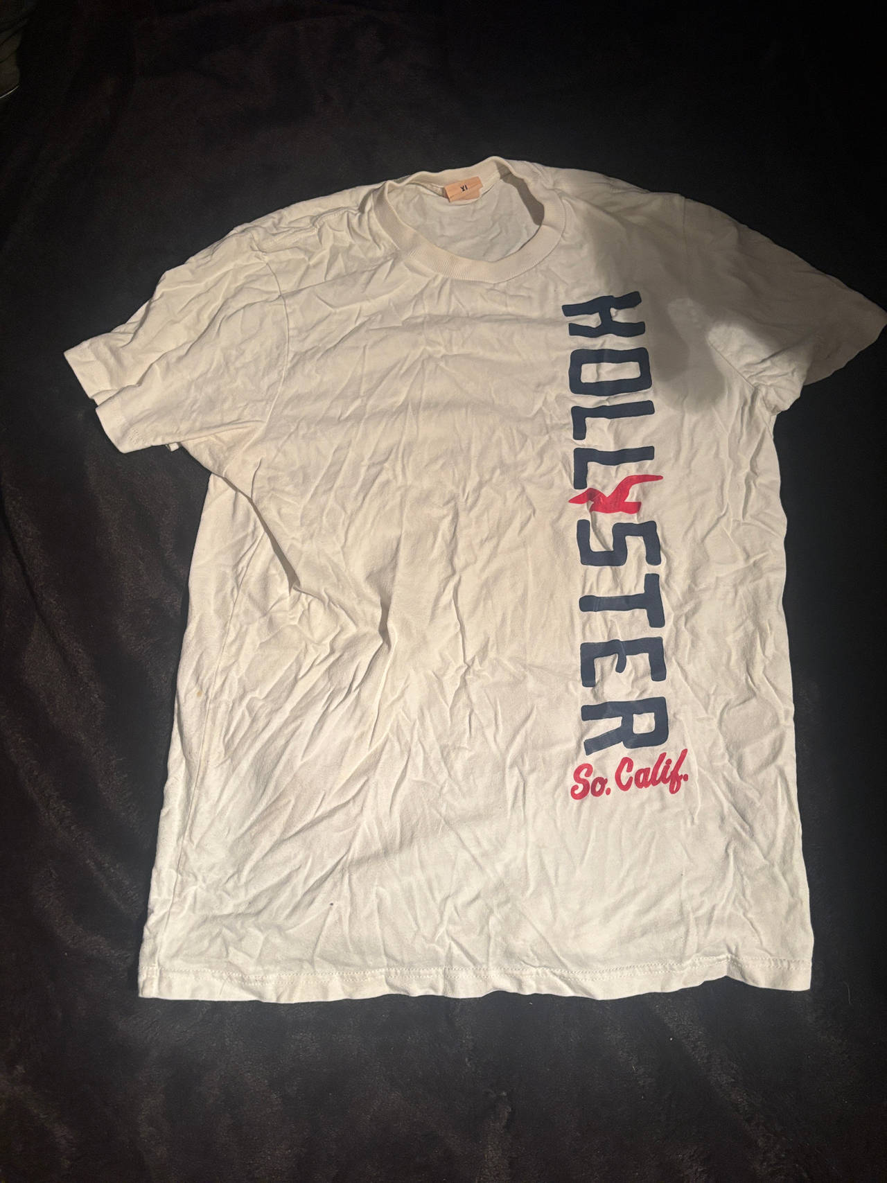 Hollister Vertical Logo Graphic T-Shirt