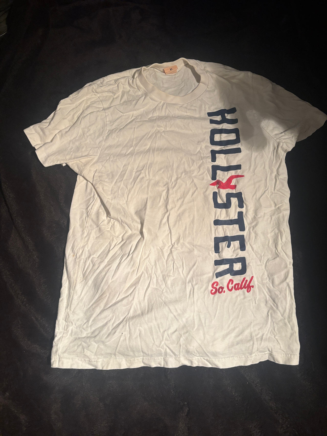 Hollister Vertical Logo Graphic T-Shirt
