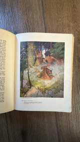 The Last of the Mohicans by James Fenimore Cooper, Illustrated by N.C. Wyeth (1925) - Image 7