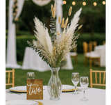 MUSUNNY Natural Dried Flower Bouquet,17" Dried Flowers for Vase,Dried Floral  - Image 5