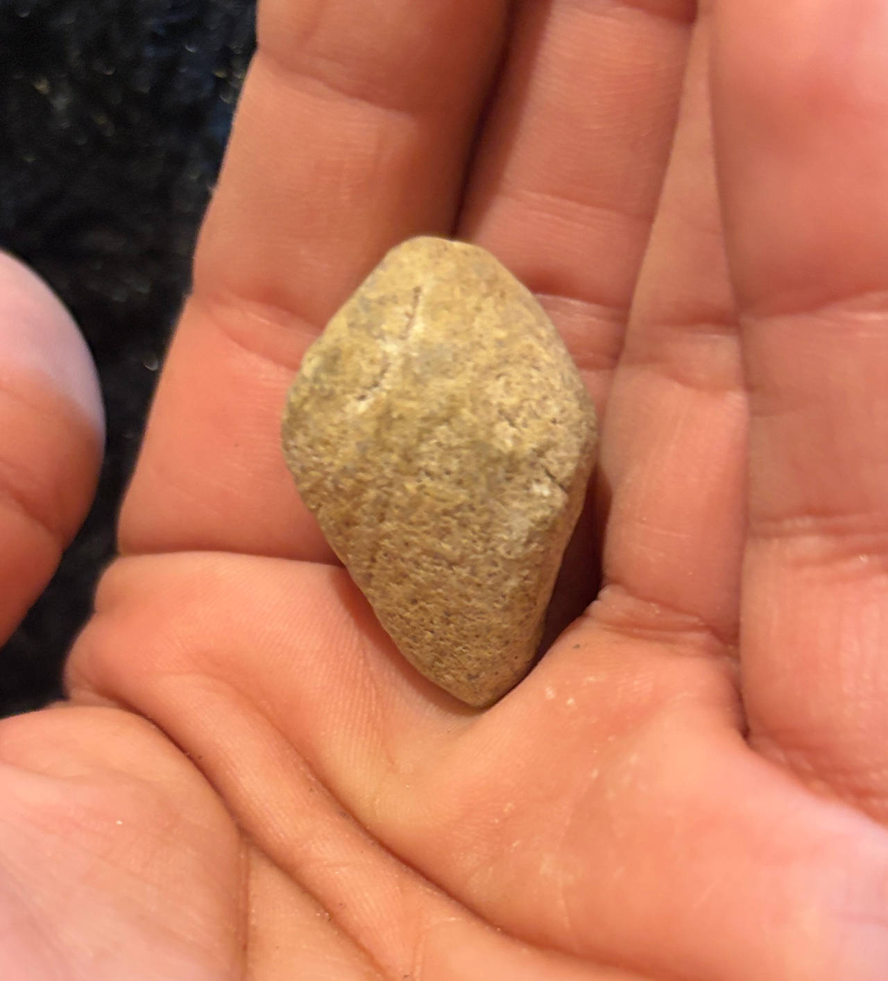 Native American Stone Projectile Point