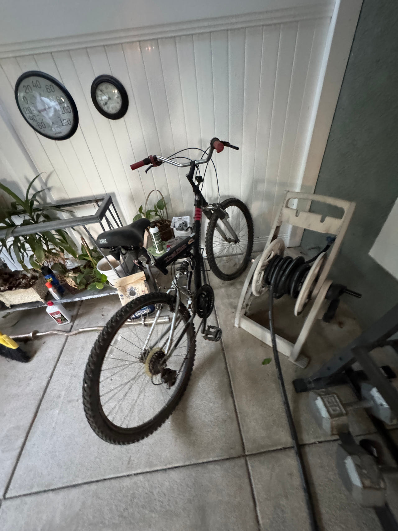 Mountain Bike