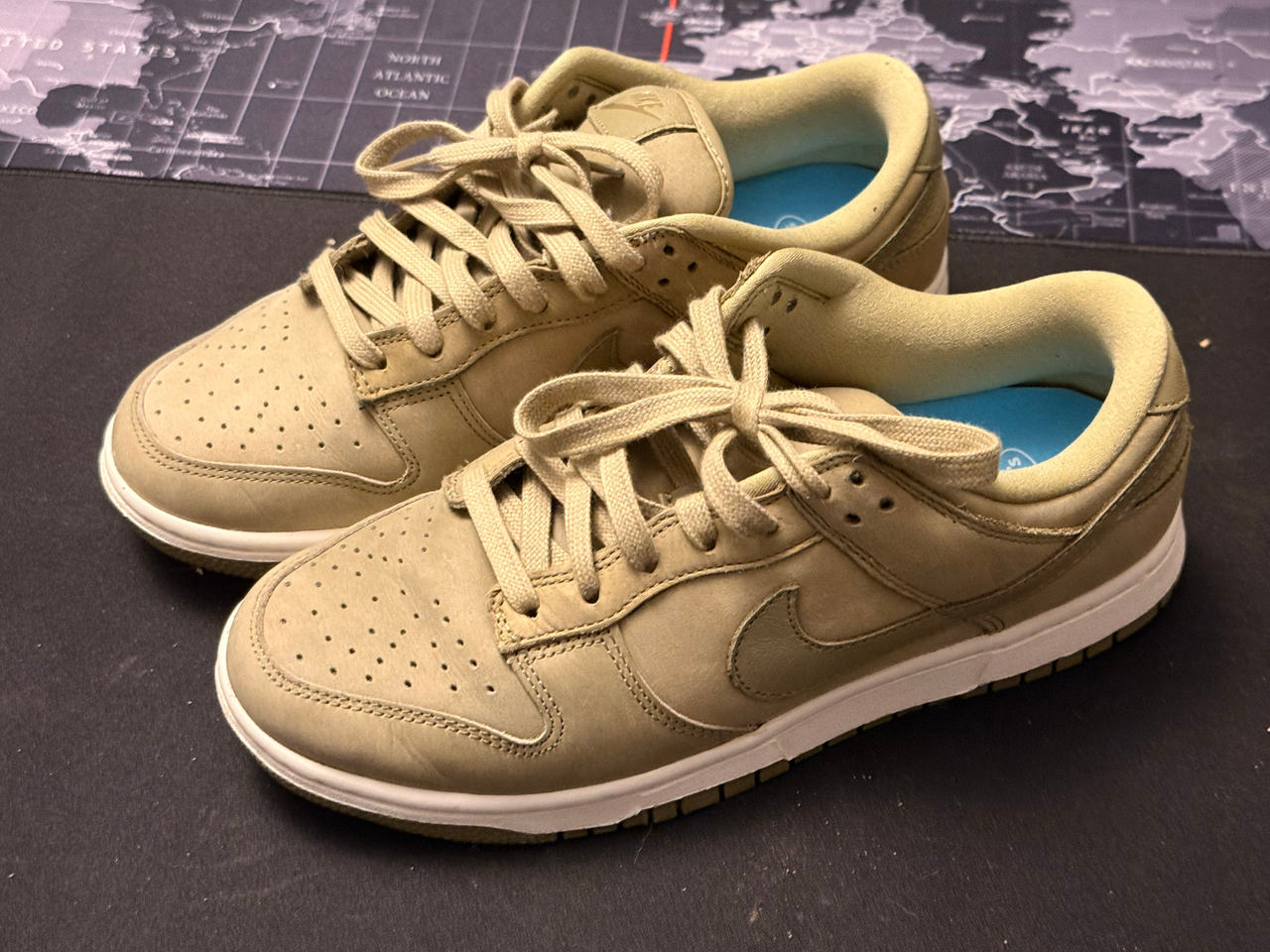 Nike Dunk Low