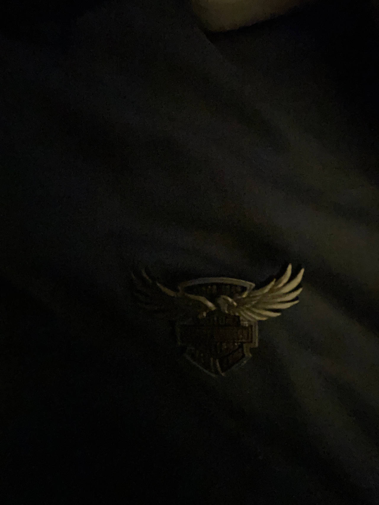 Harley-Davidson Pin