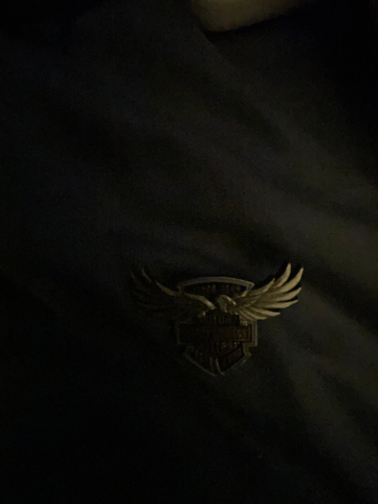 Harley-Davidson Pin